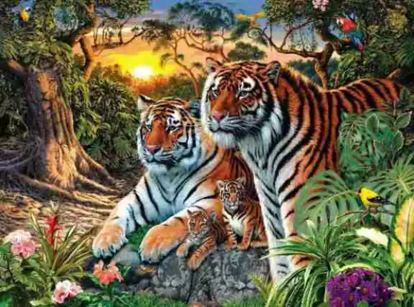 Eye Test: How Many Tigers Can You See In This Picture?